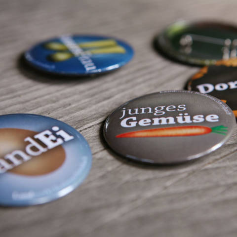 LM-Buttons-1200×800 Titel